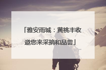 雅安雨城：黄桃丰收 邀您来采摘和品尝