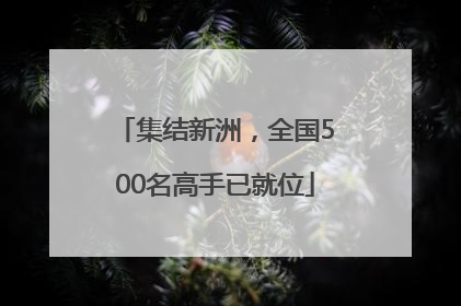 集结新洲，全国500名高手已就位
