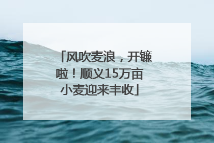 风吹麦浪，开镰啦！顺义15万亩小麦迎来丰收