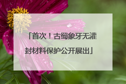 首次！古蜀象牙无灌封材料保护公开展出