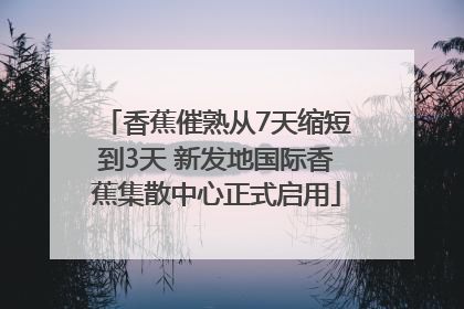 香蕉催熟从7天缩短到3天 新发地国际香蕉集散中心正式启用