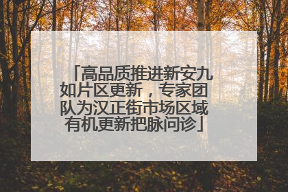 高品质推进新安九如片区更新，专家团队为汉正街市场区域有机更新把脉问诊