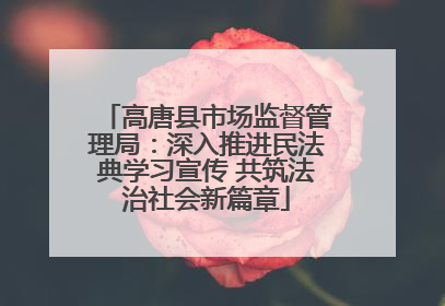 高唐县市场监督管理局：深入推进民法典学习宣传 共筑法治社会新篇章