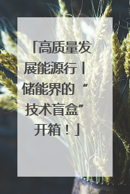 高质量发展能源行丨储能界的“技术盲盒” 开箱！