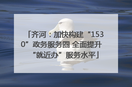 齐河：加快构建“1530”政务服务圈 全面提升“就近办”服务水平