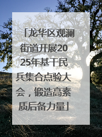 龙华区观澜街道开展2025年基干民兵集合点验大会，锻造高素质后备力量