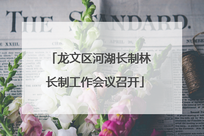 龙文区河湖长制林长制工作会议召开