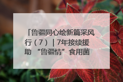 鲁疆同心绘新篇采风行（7）｜7年接续援助 “鲁疆情”食用菌从1.0走向4.0