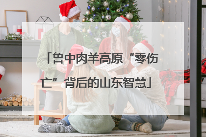 鲁中肉羊高原“零伤亡”背后的山东智慧