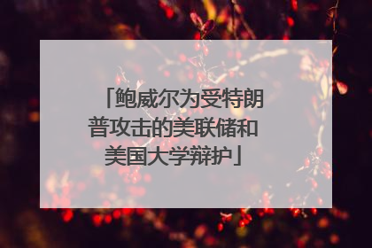 鲍威尔为受特朗普攻击的美联储和美国大学辩护