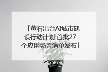 黄石出台AI城市建设行动计划 首批27个应用场景清单发布