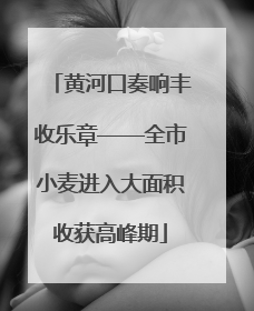 黄河口奏响丰收乐章——全市小麦进入大面积收获高峰期