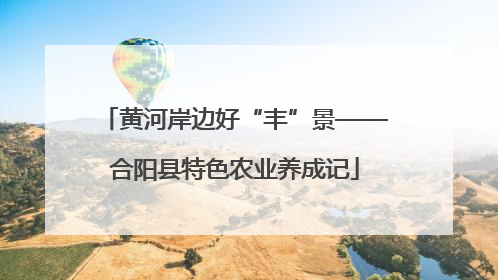 黄河岸边好“丰”景——合阳县特色农业养成记