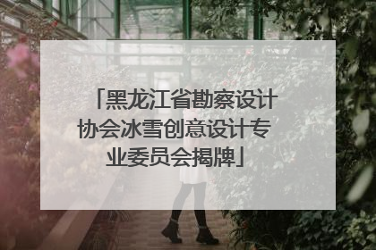 黑龙江省勘察设计协会冰雪创意设计专业委员会揭牌