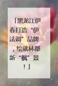黑龙江伊春打造“伊法调”品牌，绘就林都新“枫”景！