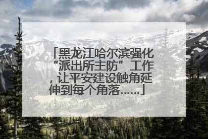 黑龙江哈尔滨强化“派出所主防”工作，让平安建设触角延伸到每个角落……