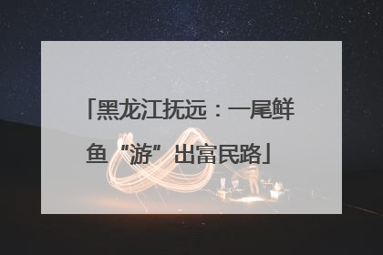 黑龙江抚远：一尾鲜鱼“游”出富民路