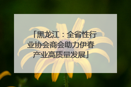 黑龙江：全省性行业协会商会助力伊春产业高质量发展