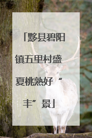 黟县碧阳镇五里村盛夏桃熟好“丰”景