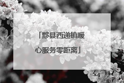 黟县西递镇暖心服务零距离