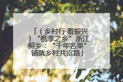 （乡村行·看振兴）“槜李之乡”浙江桐乡：“千年名果”铺就乡村共富路