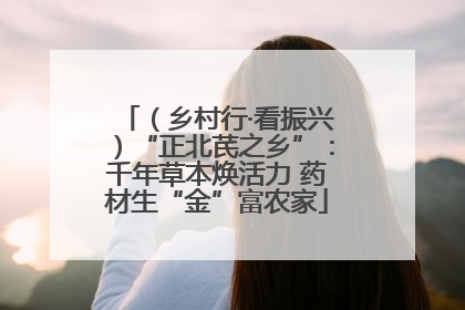 （乡村行·看振兴）“正北芪之乡”：千年草本焕活力 药材生“金”富农家
