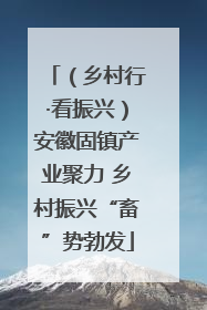 （乡村行·看振兴）安徽固镇产业聚力 乡村振兴“畜”势勃发