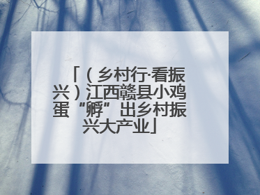 （乡村行·看振兴）江西赣县小鸡蛋“孵”出乡村振兴大产业