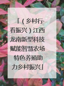 （乡村行·看振兴）江西龙南新型科技赋能智慧农场 特色养殖助力乡村振兴
