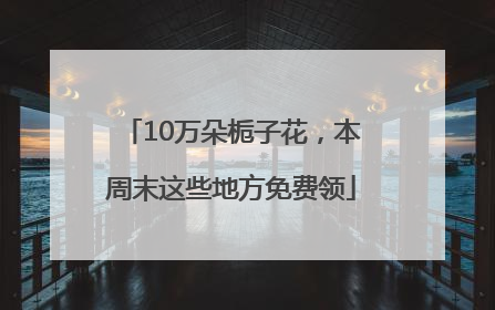 10万朵栀子花，本周末这些地方免费领