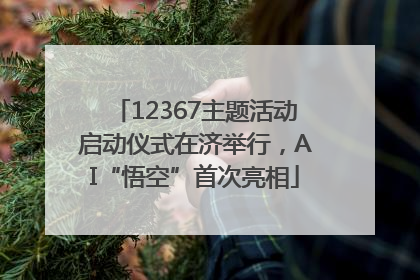 12367主题活动启动仪式在济举行，AI“悟空”首次亮相