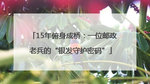 15年俯身成桥：一位邮政老兵的“银发守护密码”