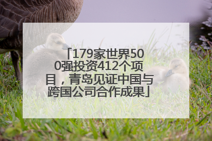 179家世界500强投资412个项目，青岛见证中国与跨国公司合作成果