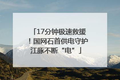 17分钟极速救援！国网石首供电守护江豚不断“电”