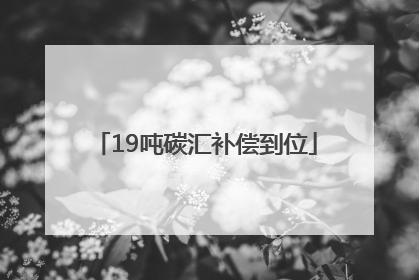 19吨碳汇补偿到位