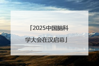 2025中国脑科学大会在汉启幕
