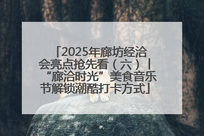 2025年廊坊经洽会亮点抢先看（六）丨“廊洽时光”美食音乐节解锁潮酷打卡方式