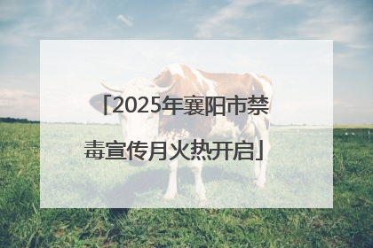2025年襄阳市禁毒宣传月火热开启