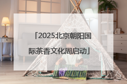 2025北京朝阳国际茶香文化周启动