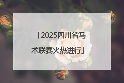 2025四川省马术联赛火热进行