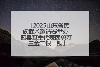 2025山东省民族武术邀请赛举办 冠县查拳代表团勇夺三金二银一铜