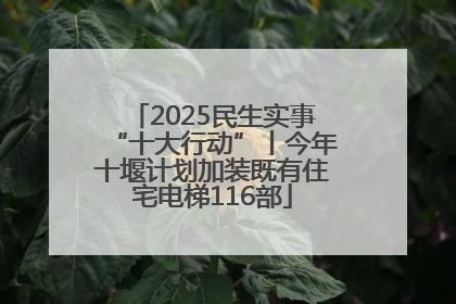 2025民生实事“十大行动”丨今年十堰计划加装既有住宅电梯116部