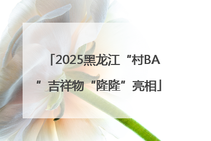 2025黑龙江“村BA”吉祥物“隆隆”亮相