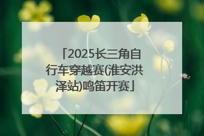 2025长三角自行车穿越赛(淮安洪泽站)鸣笛开赛