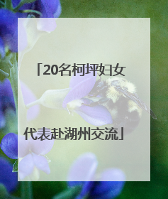 20名柯坪妇女代表赴湖州交流