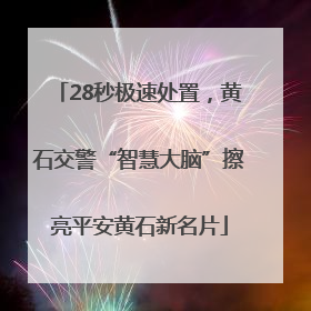 28秒极速处置，黄石交警“智慧大脑”擦亮平安黄石新名片