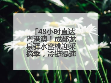 48小时直达粤港澳！成都龙泉驿水蜜桃迎采摘季，冷链提速“川品出川”