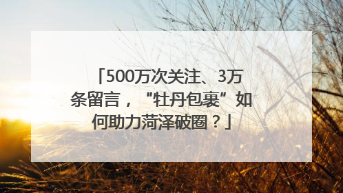 500万次关注、3万条留言，“牡丹包裹”如何助力菏泽破圈？