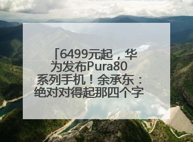 6499元起，华为发布Pura80系列手机！余承东：绝对对得起那四个字！华为近十年研发投入12490亿元