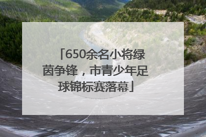650余名小将绿茵争锋，市青少年足球锦标赛落幕